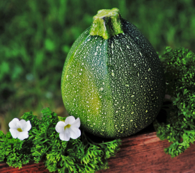 Tondo Chiaro di Nizza, ekofrö