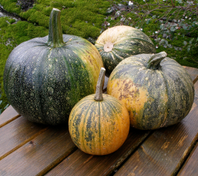 New England Pie, ekofrö