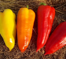 Ferenc Tender, ekofrö