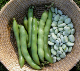 Super Aquadulce, ekofrö