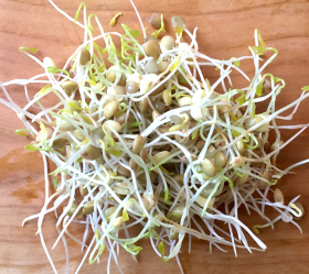 Gröna linser, ekofrö