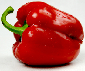 King of the North, ekofrö