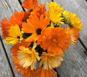 Fiesta Gitana, ekofrö