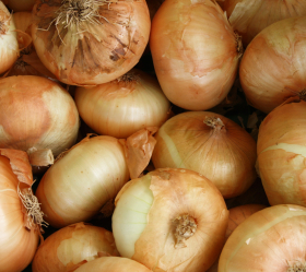 Giant Stuttgart, ekofrö