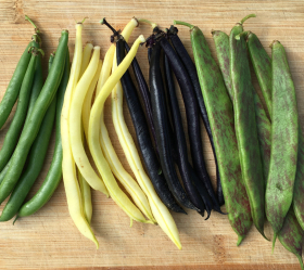 Bönblandning, ekofrö