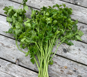Gigante di Napoli, ekofrö