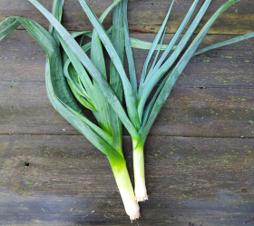 Bleu de Solaise, ekofrö