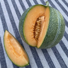 Petit Gris de Rennes, ekofrö