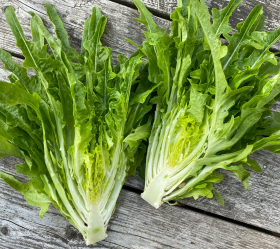 Cressonnette Moroccan, ekofrö