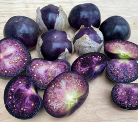 Lila tomatillo, ekofrö