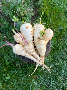 Tender and True, ekofrö